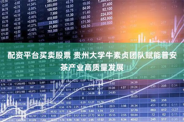 配资平台买卖股票 贵州大学牛素贞团队赋能普安茶产业高质量发展