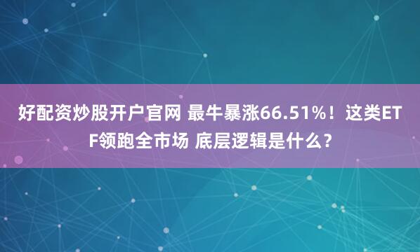 好配资炒股开户官网 最牛暴涨66.51%！这类ETF领跑全市场 底层逻辑是什么？